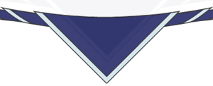 District Scarf - Replacement