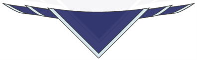 District Scarf - Replacement